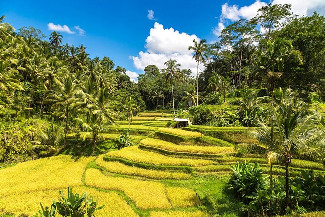 ubud tattoo studio bali